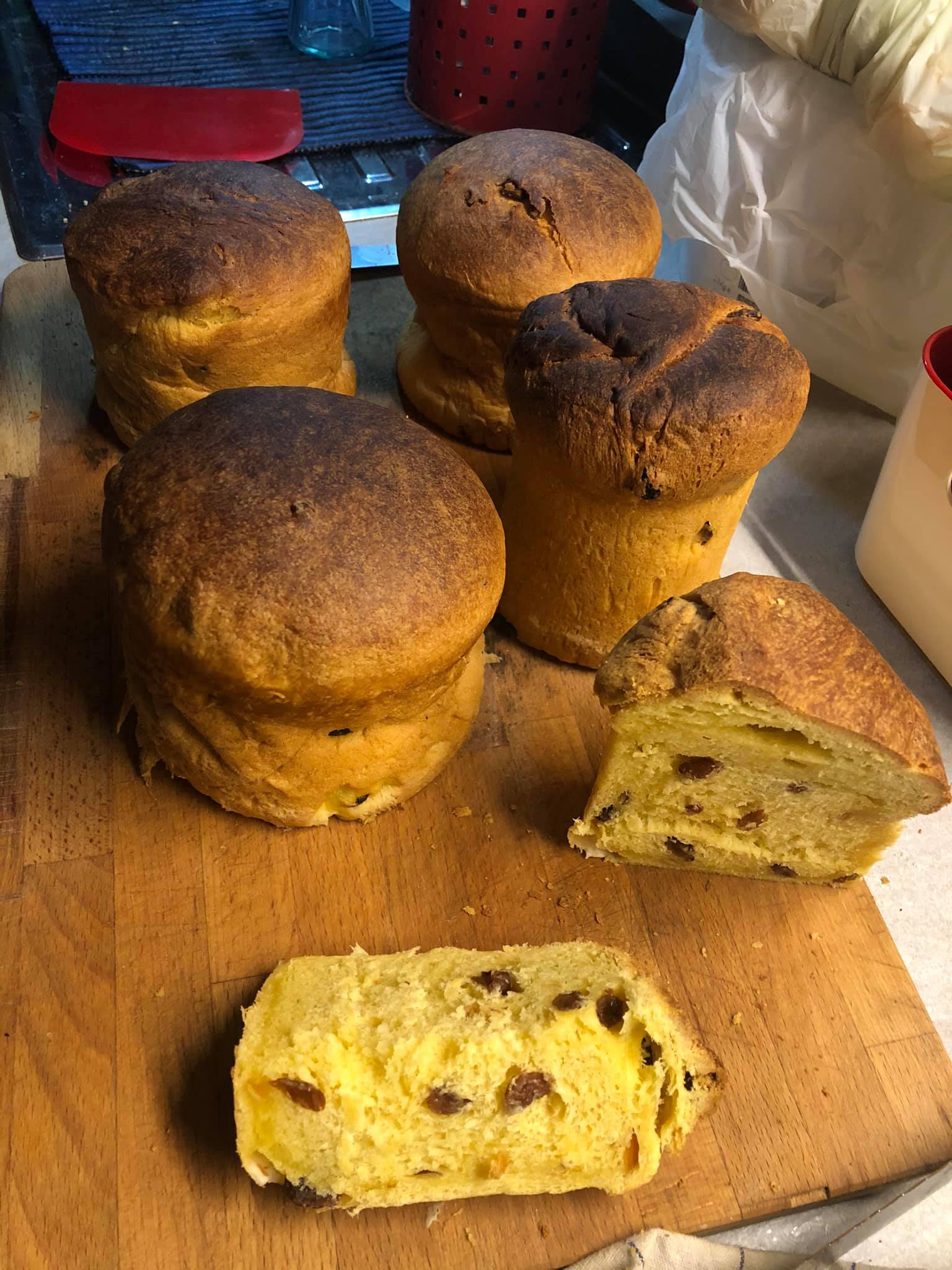panettoni